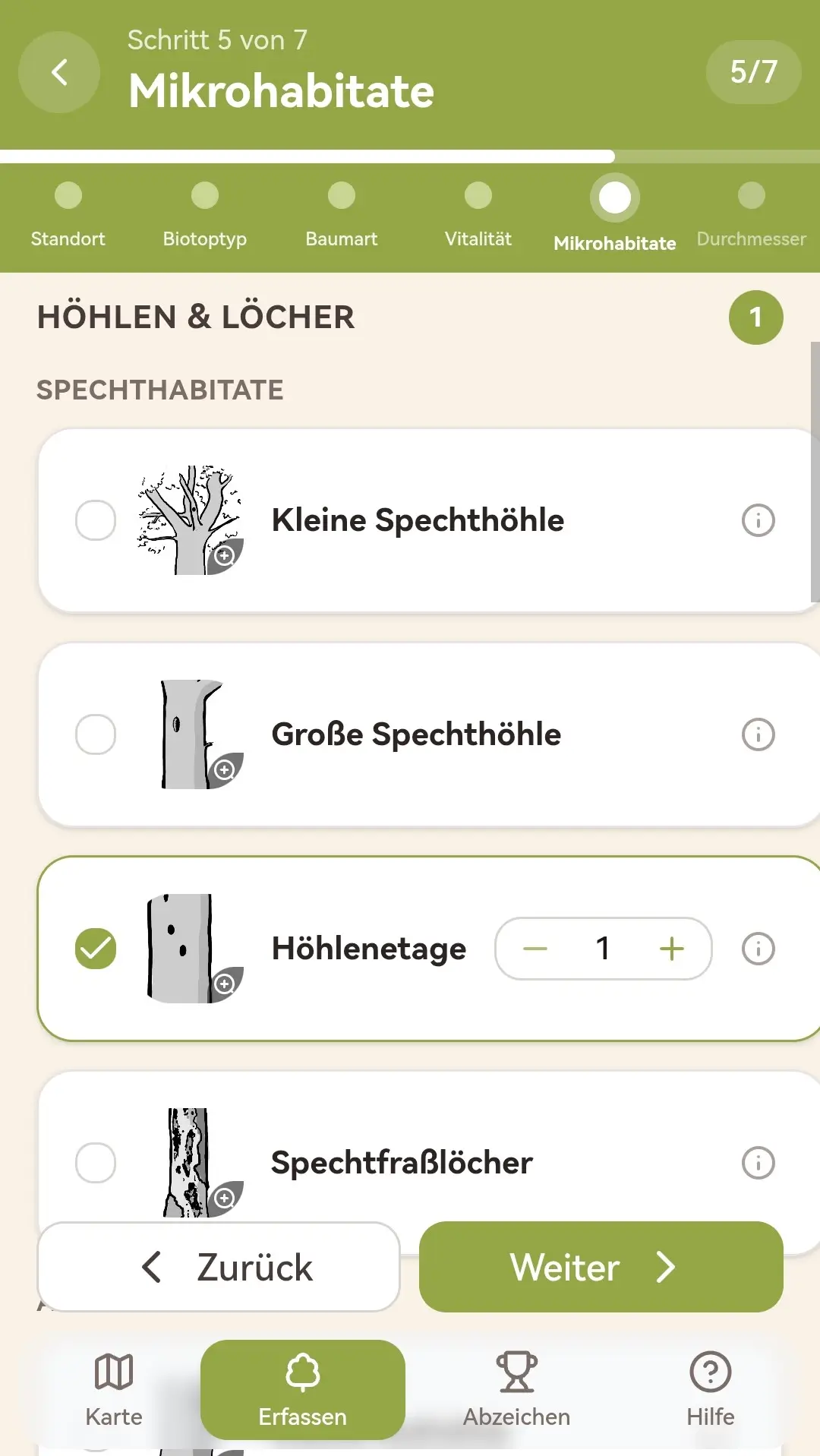 Ein Smartphone-Bildschirm mit grünem Hintergrund, einem stilisierten Blatt in der Mitte, dem Text „Mikrohabitat aufzeichnen“ und einem orangefarbenen Kamerasymbol am unteren Rand